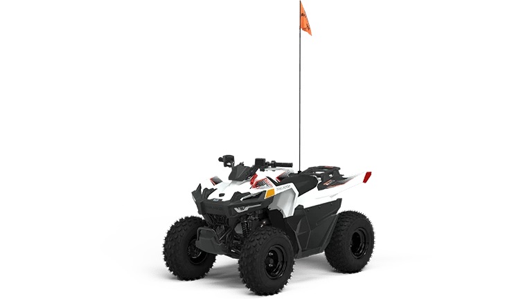 Go to skypowersportslakeland.com (New-Polaris-Youth-ATVs-For-Sale-In-Lakeland-Florida--inventory …